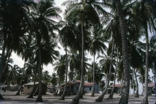 Mano Juan, el único centro habitado en el parque