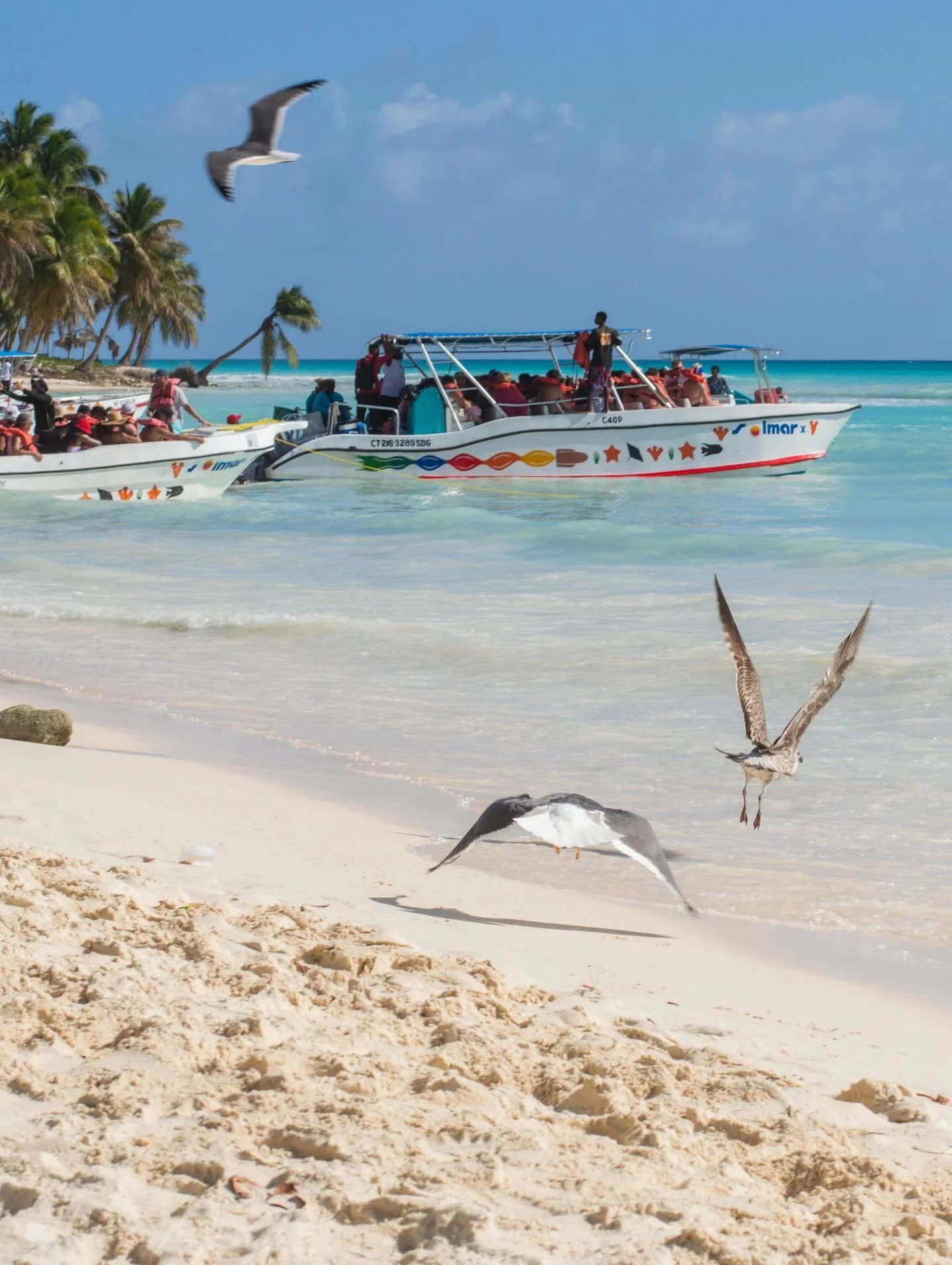 Botes de turistas llegando a Saona